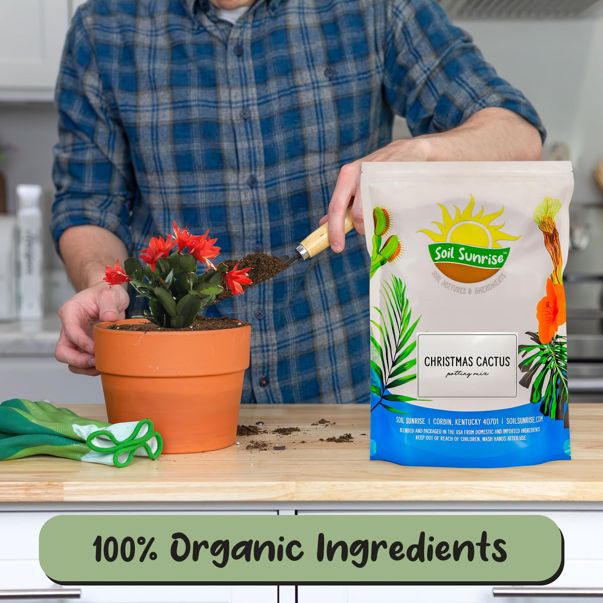 Soil Sunrise Christmas Cactus Potting Soil Mix (8 Quarts) Custom Blend for Xmas, Easter, and Thanksgiving Cactus Tropical Indoor Houseplants