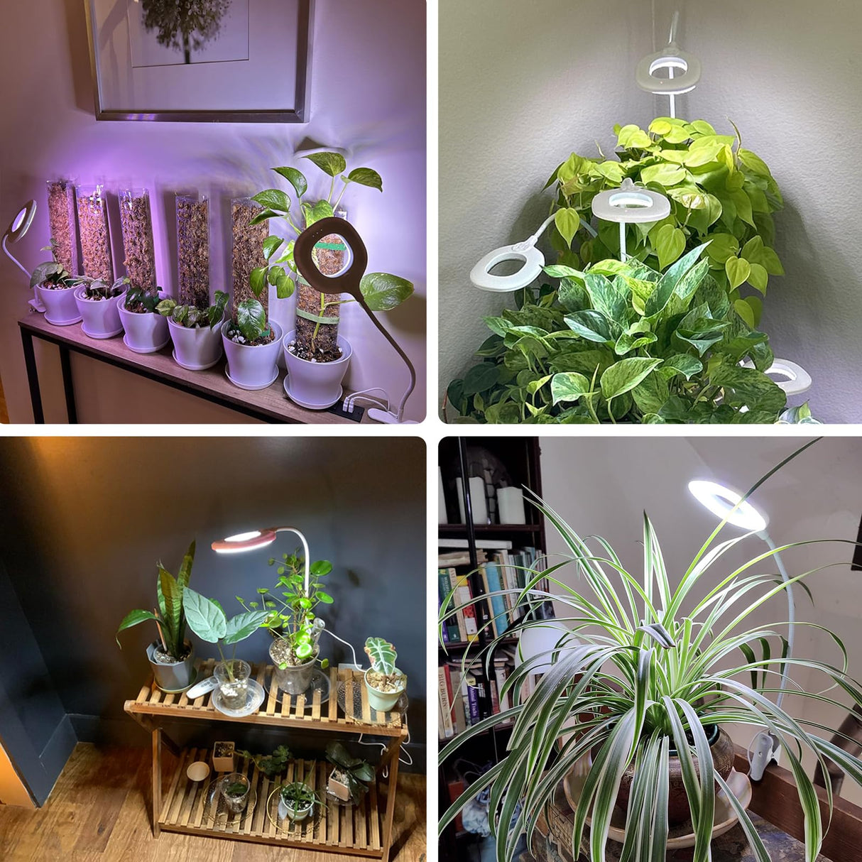 Grow Lights for Indoor Plant Full Spectrum, Clip On Plant Light with Remote