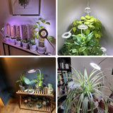 Grow Lights for Indoor Plant Full Spectrum, Clip On Plant Light with Remote