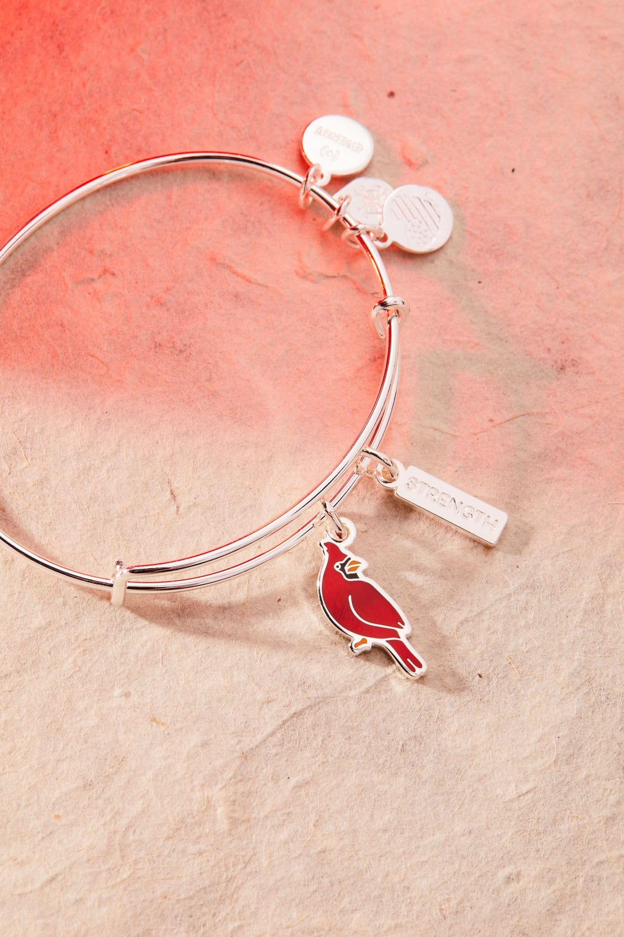 ALEX AND ANI 'Strength' Cardinal Duo Charm Bangle Bracelet - Red Cardinal Charm, Inspirational 'Strength' Accent, Nickel-Free, Cardinal Jewelry for Women (Shiny Silver)
