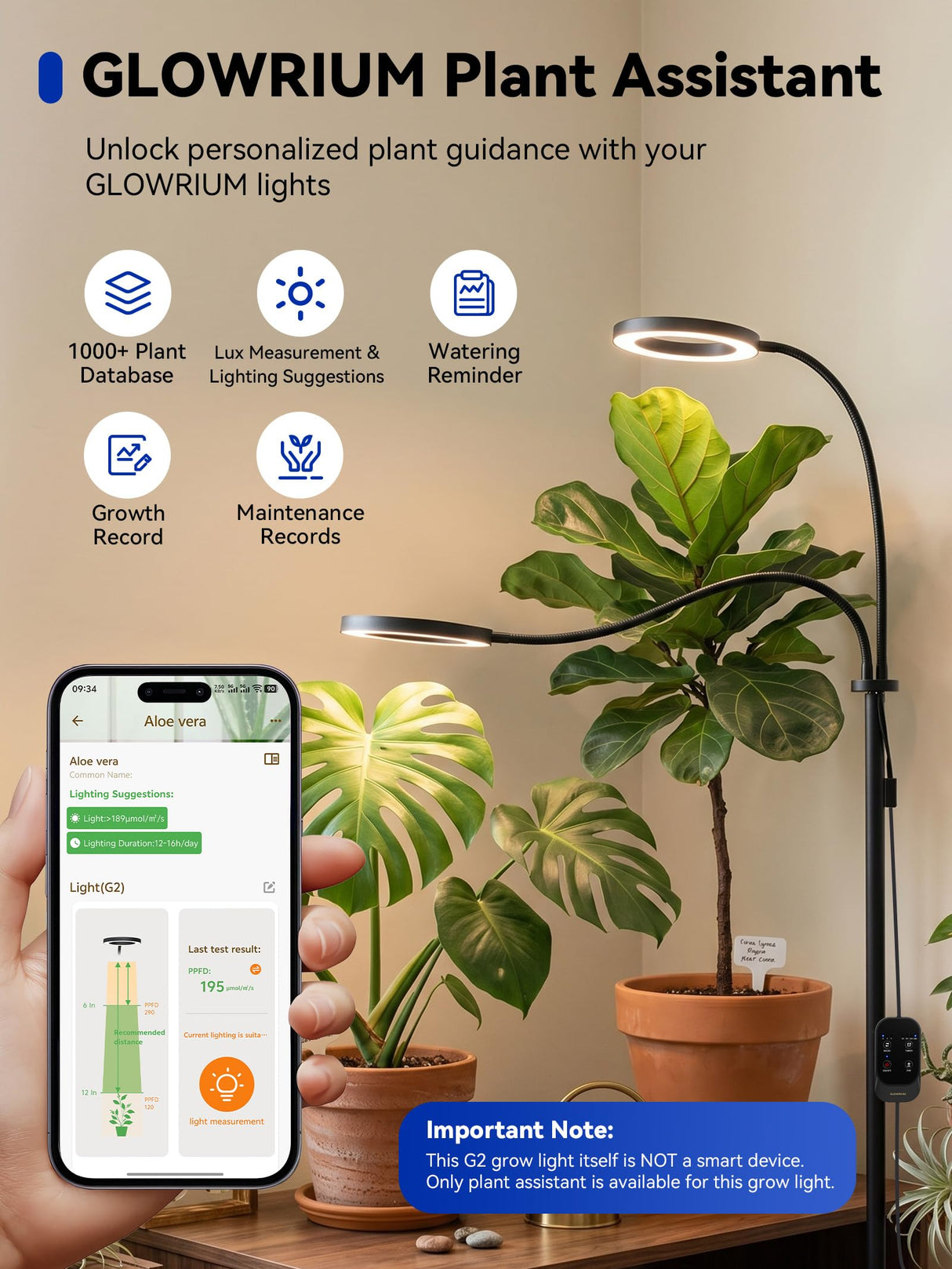 GLOWRIUM Grow Lights for Indoor Plants, 36W Full Spectrum 2-Head LED Plant Light with Stand, Adjustable Height, 3/9/12H Timer, 6 Dimmable Levels & 3 Lighting Modes(Black-Double Head)
