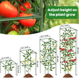 3 Pack Tomato Cage, 14.5" W x 53" H Square Tomato Trellis with 50 Pcs Clips