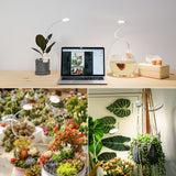 SGLEDs Clip-On Grow Lights for Indoor Plants, 2-in-1 Small Grow Light with One Plug & Auto Timer, 4000K Full Spectrum Dimmable LED Lamp for Potted Houseplants, Seedlings & Lemon Trees