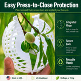 Rooted Promise Fruit Protection Cages for Peaches and More | 2026 Improved Secure-Lock Design | Small 4x5 Inch | 12 Pack | Squirrel Resistant | Reusable Heavy-Duty Plastic | Made in USA