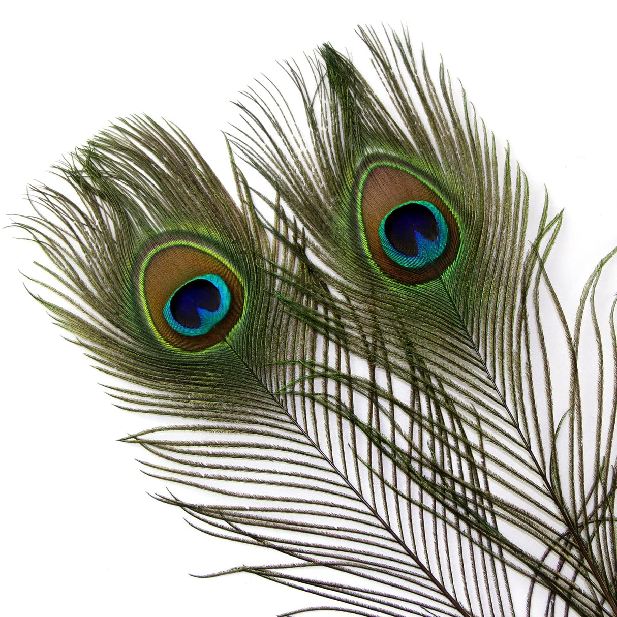 THARAHT 24pcs Peacock Feathers Long Natural in Bulk 25-30 inch 60-70 cm for Craft Vase Wedding Home Party Christmas Day Decoration Peacock Feathers