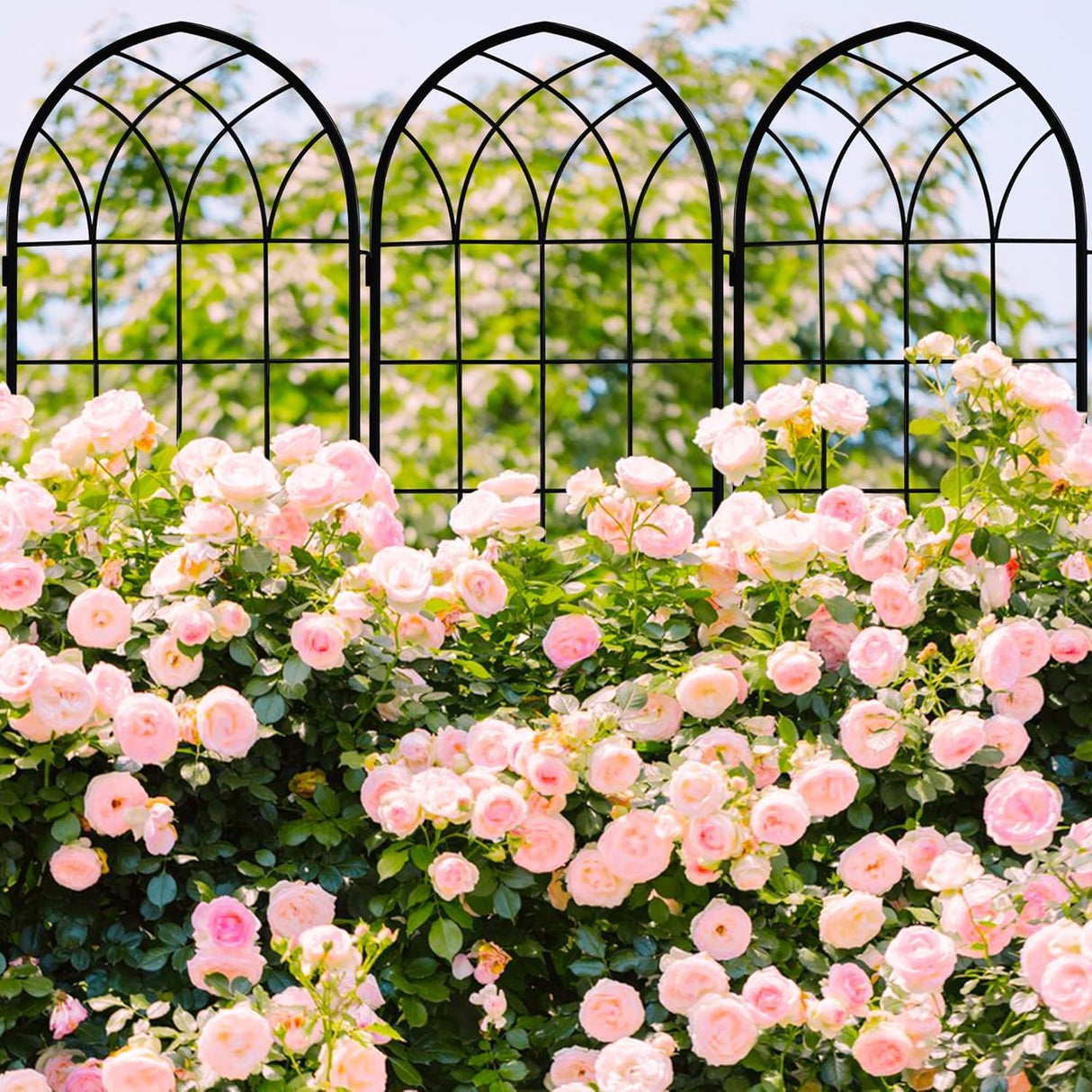 LZRS 71 x 80in Rustic Iron Arch Decoration Garden Trellis with Black Metal Coating – Perfect for Supporting Climbing Plants Outdoor, Roses, Vines, Flowers, and Vegetables.