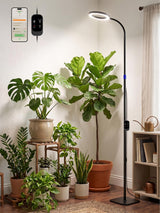 Smart Grow Light for Indoor Plants, 53.9"-67.5" Adjustable Height Full Spectrum LED Plant Light, APP Control with Auto Timer, Plant Assistant,Stepless Dimming, Ideal for Large Tall Plants