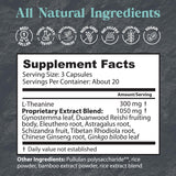 Dragon Herbs - Tao in a Bottle Capsules | Herbal Formula Supplement to Support Stress, Mood, Focus, Adaptability, (60 Capsules, 450 mg Each)