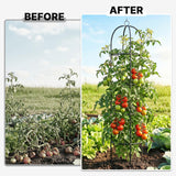 CL FUN Metal Trellis for Climbing Plants Outdoor, 2026 Upgrade 100% Metal with Powder Coating, Rose, Flowers, Grape, Pea, Cucumber Tomato Cage - 6.3 FT Freestanding Plant Support