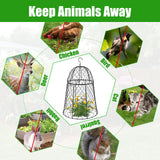 6 Pack Garden Cloches for Plants, Sturdy Chicken Wire Cloches Plant Cover