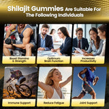 Formula with Pure Himalayan Shilajit, Ashwagandha, and 75% Fulvic Acid | Sugar-Free Vegan, 85+ Trace Minerals
