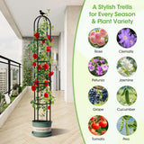 2PCS Garden Obelisk Trellis for Climbing Plants Outdoor, 6.2 ft Tall Trellis for Roses Clematis Jasmine Ivy Flower Light Climbing Vines Potted Plant Support, Patio, Yard