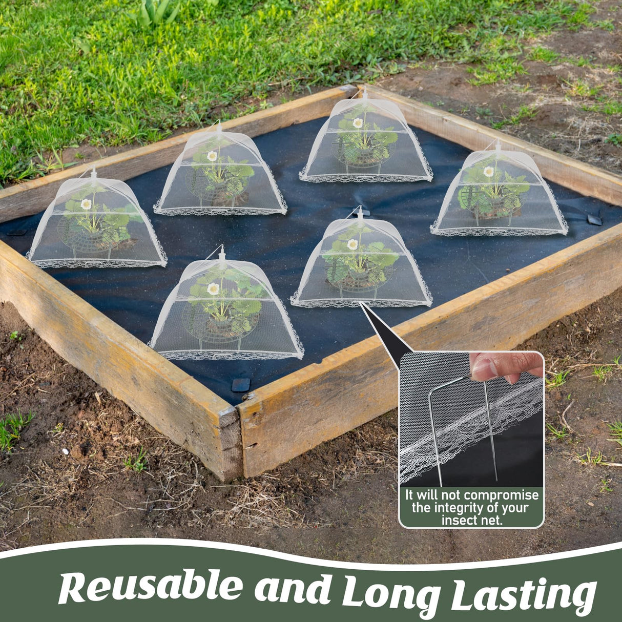 COZYDIG 4 Sets Strawberry Plant Support with Mesh Plant Cover,Strawberry Growing Racks Sets with Iron Plant Nails and Storage Bag for Garden Strawberry Vegetables(White Net - Round)