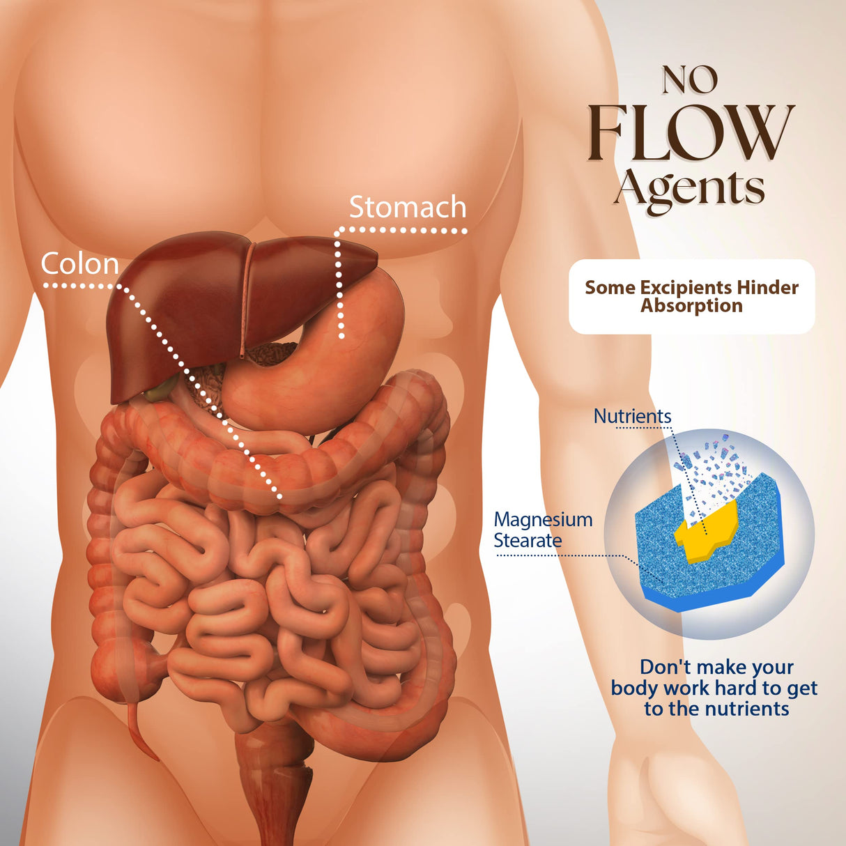 Dr Clark Superblend Wormwood Capsules - Vegetarian 330 mg, 100 Capsules - Wormwood Herb Without Artificial Preservatives, Wormwood Combination with Quassia