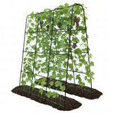 Trellume Cucumber Trellis - 62.4"*50" Cucumber Trellis for Raised Bed with Plastic-Coated Steel Pipe, U-Shape Garden Trellis for Climbing Plants, Garden Trellis for Cucumbers, Beans(Black)
