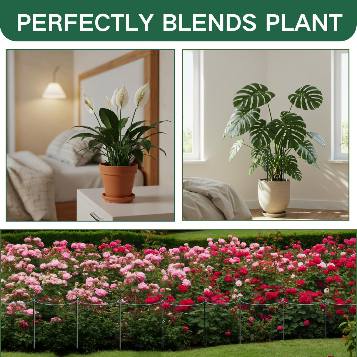 Tiuire 24in Tall Heavy-Duty Plant Support Stakes, 6 Pack Adjustable Peony Cages & Supports for Outdoor Plants, Large Garden Plant Stakes for Peony, Tomato