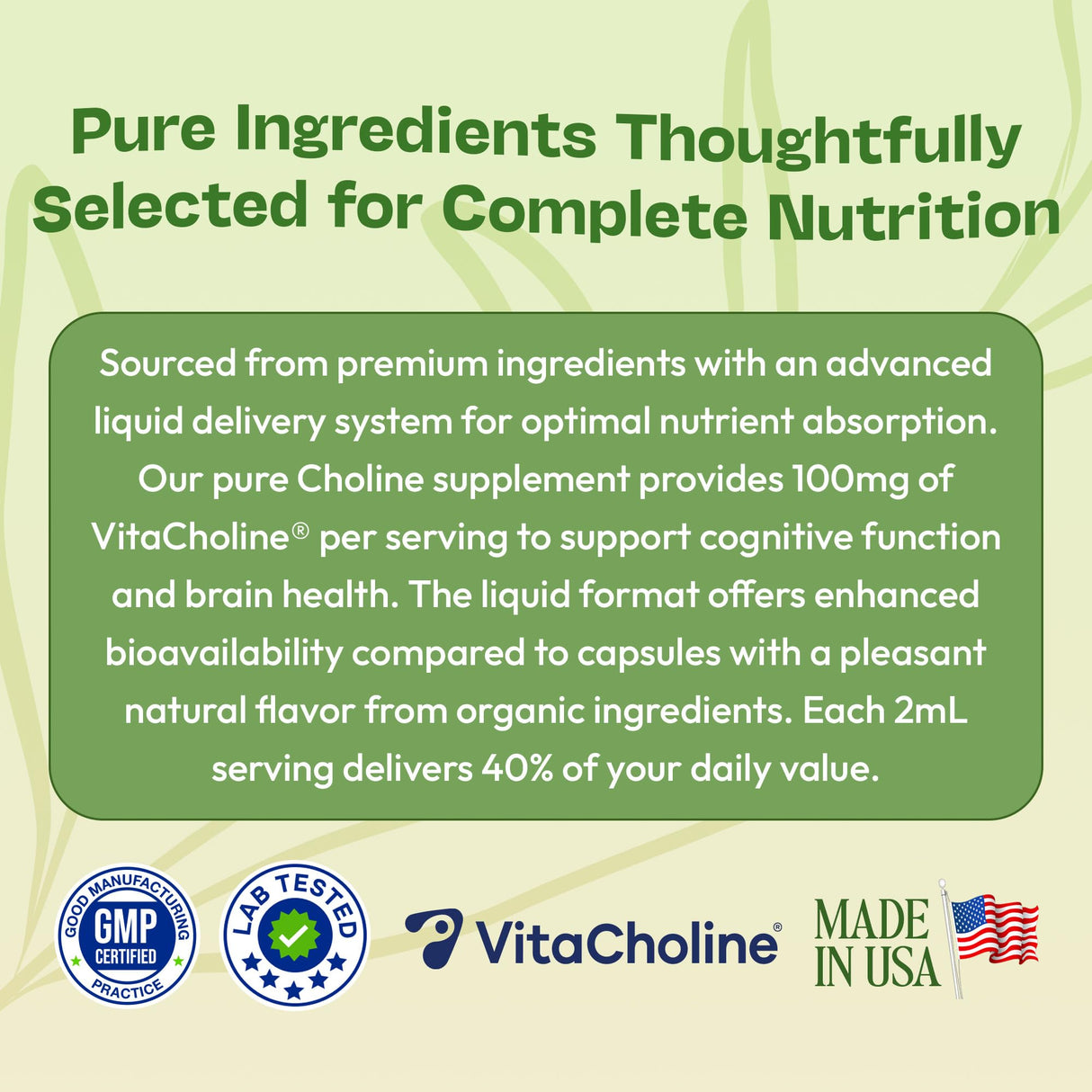 Choline Liquid Drops Supplement – Vegan, Gluten-Free, GMO-Free, Easy Absorption Formula – With Essential Nutrients for Brain Health and Vitality – Complements Inositol Supplements (Mixed Berry, 60 mL)