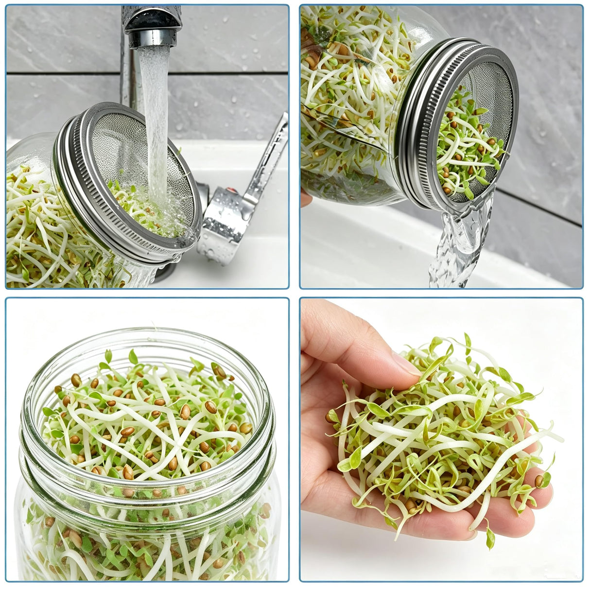 Lulonpon 2pcs Sprouts Growing Jar Kit, Wide Mouth Quart Mason Jars with Stainless Steel Screen Sprout Lids, 86mm,1000ml,Stand,Tray and Canning Brush,Seed Sprouter Set for Broccoli, Alfalfa, Mung Bean