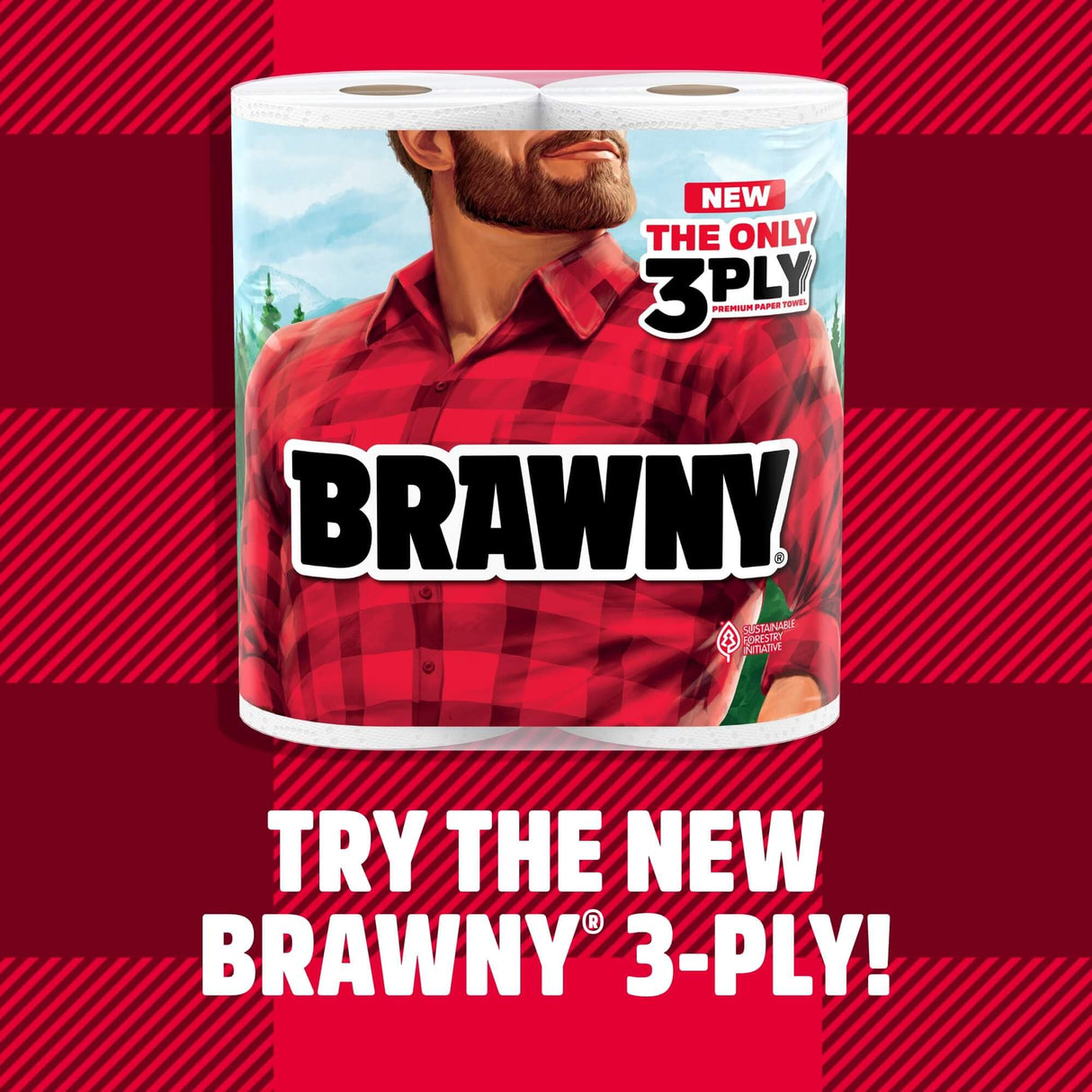 Brawny Tear-A-Square Paper Towels, 12 Family Rolls = 30 Regular Rolls, 2X More Durable*, 3 Sheet Sizes, Strong and absorbent extra-large roll