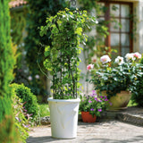 DYBEEDUAL 4 Pack 32 Inch Plant Trellis Outdoor Metal Trellis for Climbing Plants Indoor Garden Trellis for Climbing Plants Outdoor Wave Shape Metal Garden Trellis Houseplants Flowers Vine Ivy