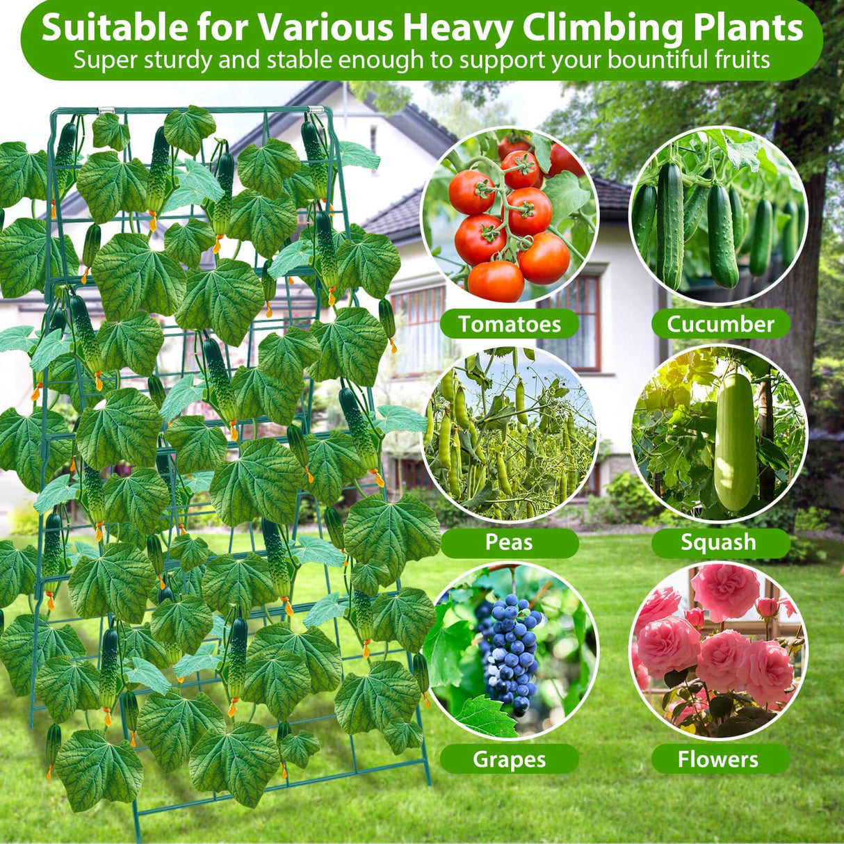 ROADPLUM 2 Pack Cucumber Trellis for Raised Garden Bed, Outdoor Sturdy Metal A-Frame Cucumber Trellis Support for Climbing Plants Vegetables with Accessories, Easy Installation & Easy Harvesting