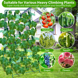 ROADPLUM 2 Pack Cucumber Trellis for Raised Garden Bed, Outdoor Sturdy Metal A-Frame Cucumber Trellis Support for Climbing Plants Vegetables with Accessories, Easy Installation & Easy Harvesting