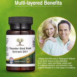 Thunder God Vine Root 20:1 Supplement – Tripterygium Wilfordii Herbal Supplement – 200mg Capsules with Lei Gong Teng Extract – Thunder God Vine Extract with Triptolide – 90 Capsules
