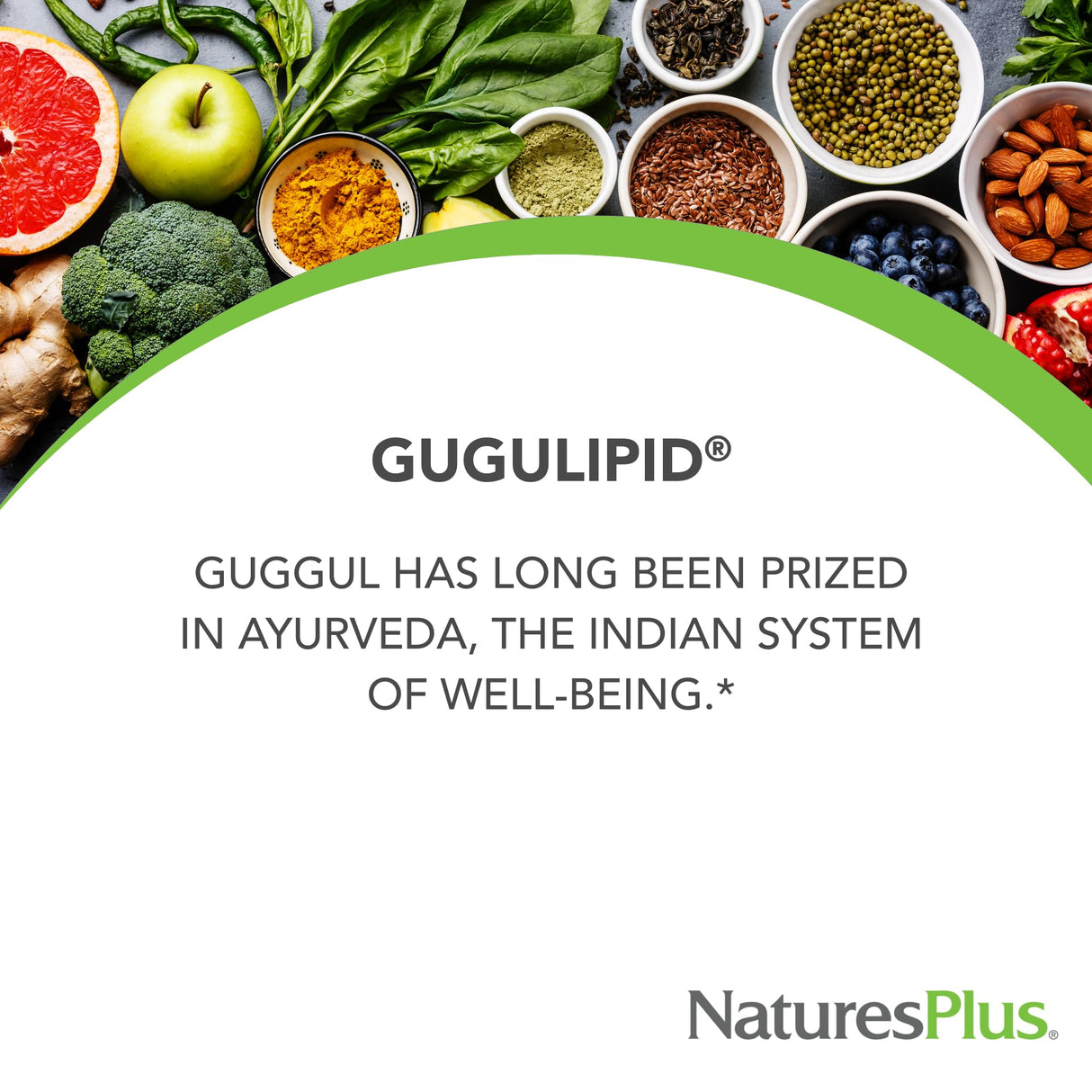 Natures Plus Herbal Actives Gugulipid, Extended Release- 1000 mg, 2.5% Guggulsterones - 30 Vegan Tablets - Ayurvedic Botanical Supplement - Vegetarian, Gluten-Free - 30 Servings
