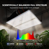 Spider Farmer SF4000 450W LED Grow Light for Indoor Plants, Upgraded High Efficiency LEDs, Dimmable Full Spectrum High PPFD, Deep Penetration for Seed Starting/Vegetables/Bloom in 4x4 Grow Tent