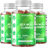 Vitamatic 3 Pack Irish Sea Moss Gummies- 3000mg Equivalent Per Serving (from Extract 132.5 mg) - 60 Ct - Made with Bladderwrack & Burdock Root - Seamoss Supplement for Thyroid, Energy, Immune Support