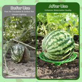 10 Packs Melon Cradles Trellis – Stable Fruit Support Stands to Keep Watermelons, Pumpkins & Cantaloupes Off Soil, Melon Holder Growing Frame Reusable Garden Plant Holders for Raised Beds & Backyard