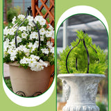 2 Set Metal Garden Obelisk Trellis for Climbing Plants with 100 Ties 18 x 12'' Sturdy Versatile Support for Roses Vines Flowers Potted Plants Garden Ornament Easy Assembly Indoor Outdoor Displays
