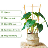 Bamboo Trellis, 12pack 16 Inch Small Plant Wood Bamboo Trellis for Climbing Plants Indoor Potted Plants