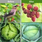 Garden Netting 10x50FT 2 Pack Ultra Fine Mesh, Insect Barrier Bird Netting for Garden Protection, Insect Bug Netting Garden Net for Protecting Plants Vegetables Flowers Fruits