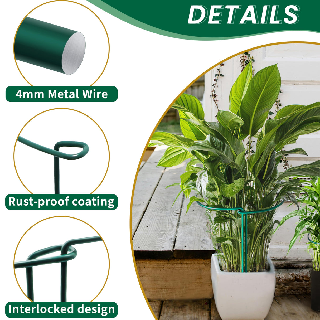 TCBWFY 10 Pack Garden Plant Support Stakes,10" Widex16 High Heavy Duty Interlinked Half Round Peony Support Ring Cage for Indoor Outdoor Plants,Plant Supports for Peony,Tomato,Hydrangea,Rose
