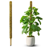 DUSPRO 59" Natural Large Moss Pole for Big & Mature Plants, (1pc., 59'')