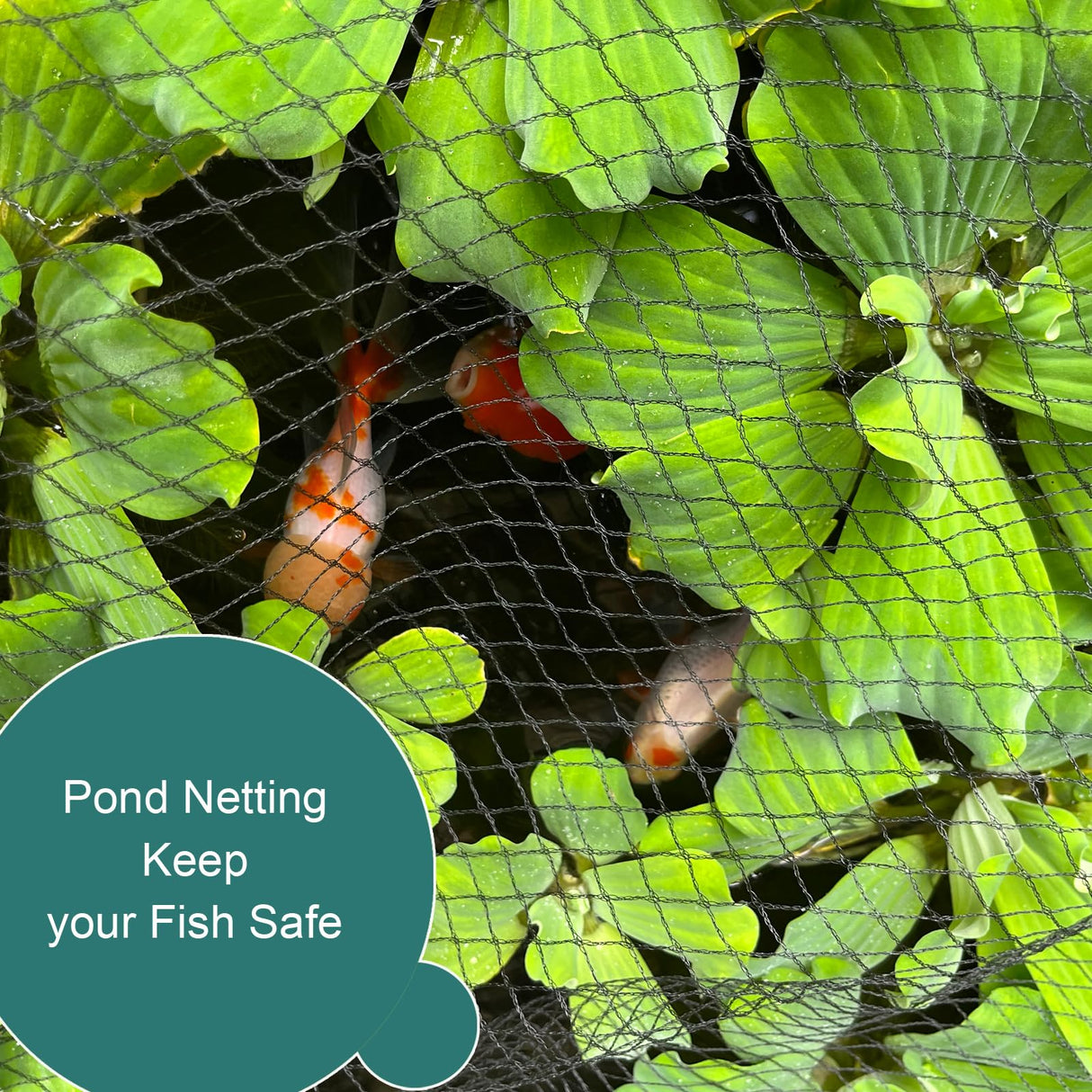 Bird Netting for Garden Protection, Anti Bird Mesh Garden Netting 49 x 49FT