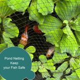 Bird Netting for Garden Protection, Anti Bird Mesh Garden Netting 49 x 49FT
