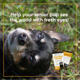 VETRISCIENCE Golden Years Clear and Bright Vision Support for Senior Dogs, Chicken Flavor, 60 Chews - Supports Cloudy and Teary Eyes and Ocular Blood Flow