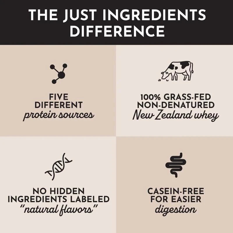 Just Ingredients Chocolate Peppermint Protein Powder