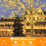 Nielfoi 2 Pack Christmas Lights Outdoor, Total 200FT 600LED Christmas Tree Lights with 8 Modes Waterproof, Warm White String Twinkle Lights Green Wire for Indoor Patio Garden Xmas Holiday Decorations