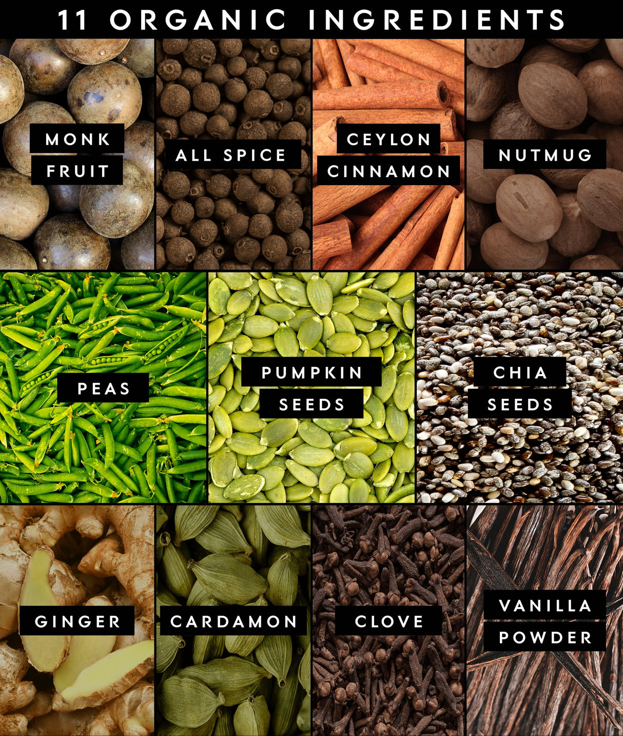 Truvani Vegan Pea Protein Powder | Vanilla Chai | 20g Organic Plant Based Protein | 10 Servings | Keto | Gluten & Dairy Free | Low Carb | No Added Sugar