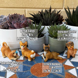 Mood Lab Fairy Garden Dog Figurines - Realistic Puppy Set (4 pcs) - Miniature Decorative Statues - Outdoor & Indoor Garden Decor
