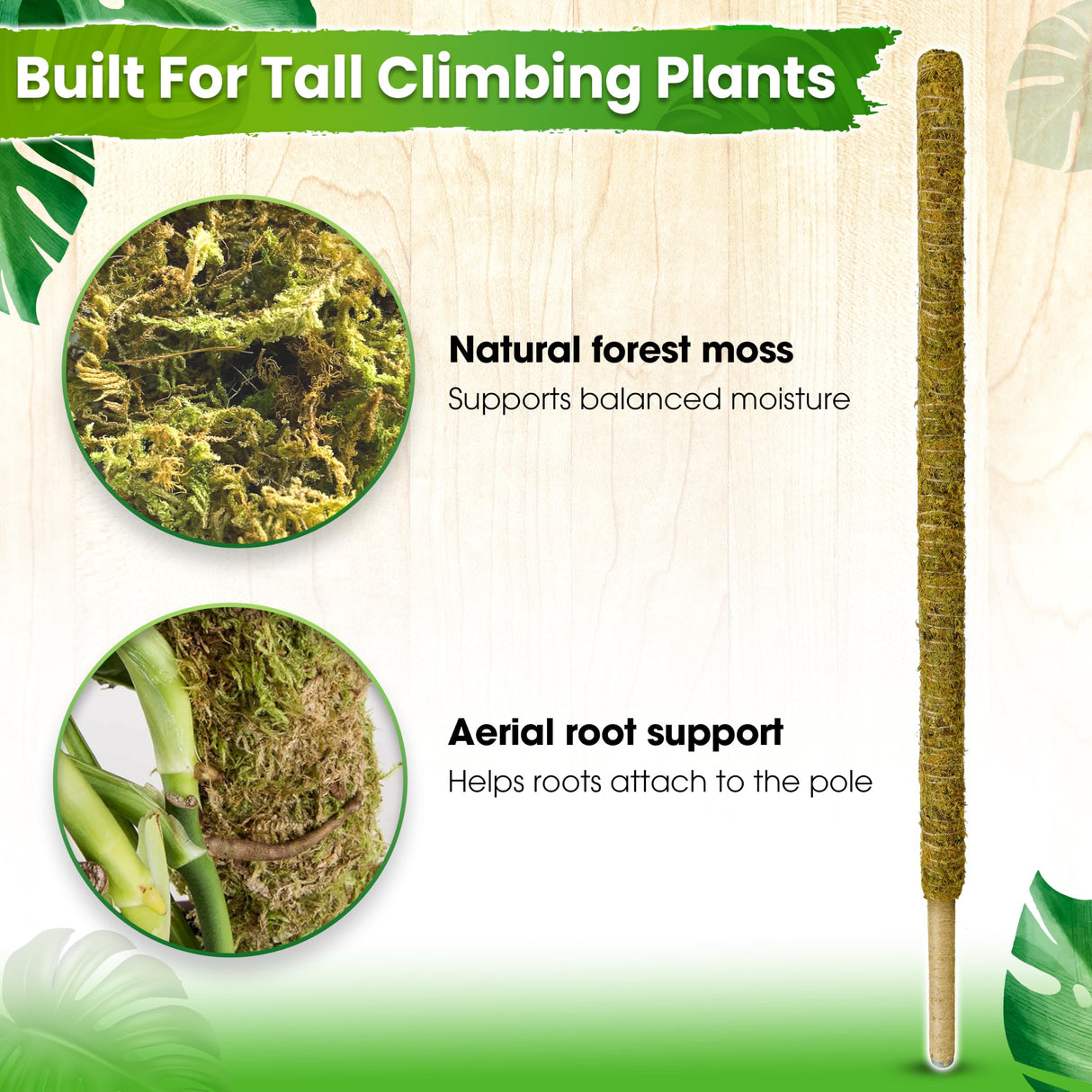 DUSPRO 59" Natural Large Moss Pole for Big & Mature Plants, (1pc., 59'')