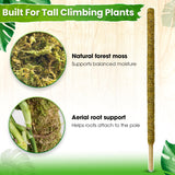 DUSPRO 59" Natural Large Moss Pole for Big & Mature Plants, (1pc., 59'')