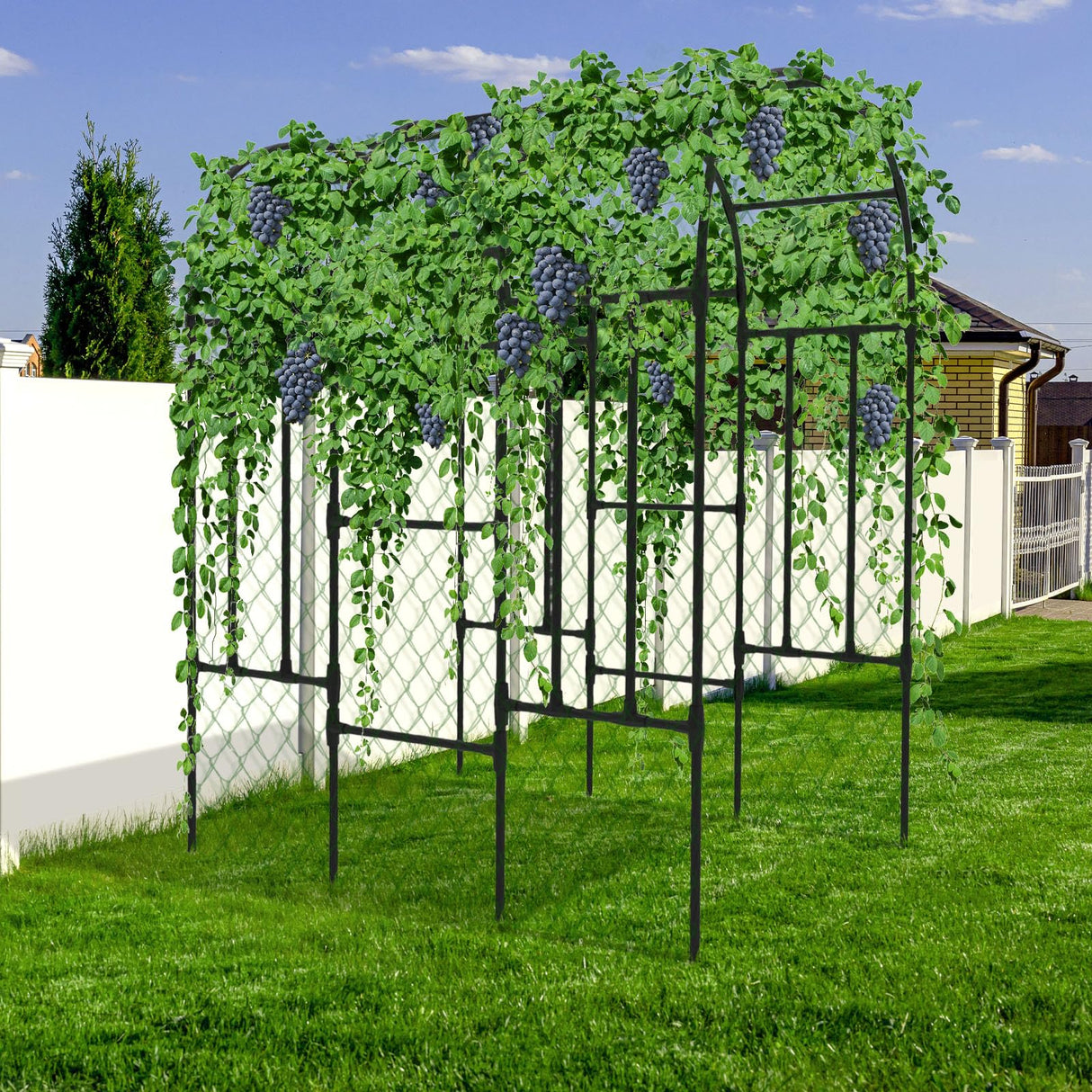 Trellis for Climbing Plants Outdoor - Cucumber Trellis for Raised Bed, Size:71 * 47 * 79 inch, Garden Trellis for Climbing Plants, Cucumber, Vegetable, Tomato, Flowers