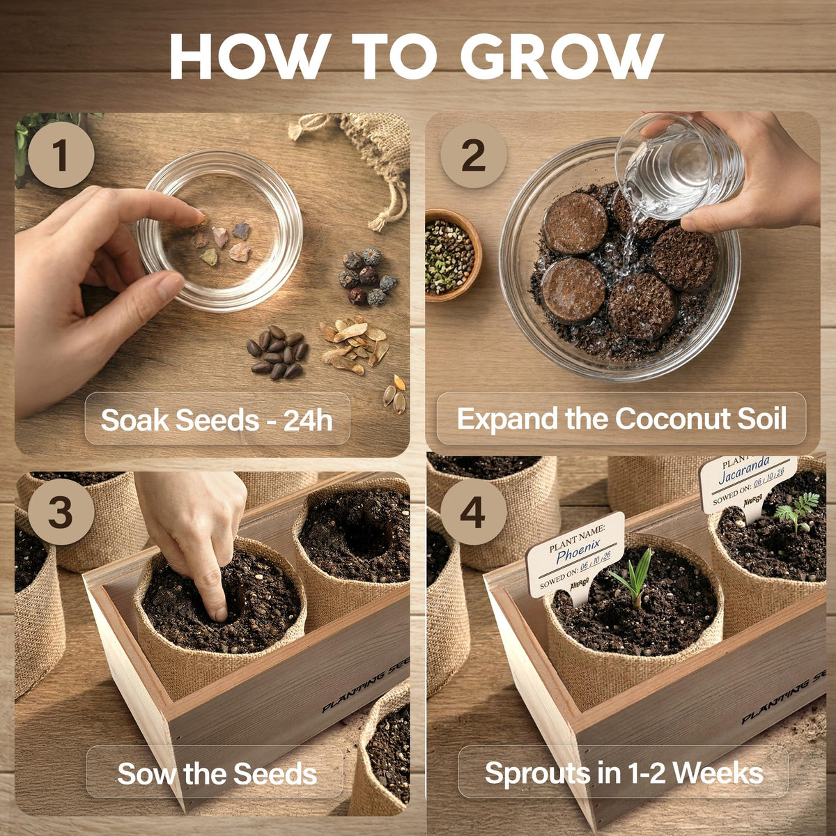 Bonsai Tree Kit Deluxe - Growing 5 Unique Japanese Bonzai Trees