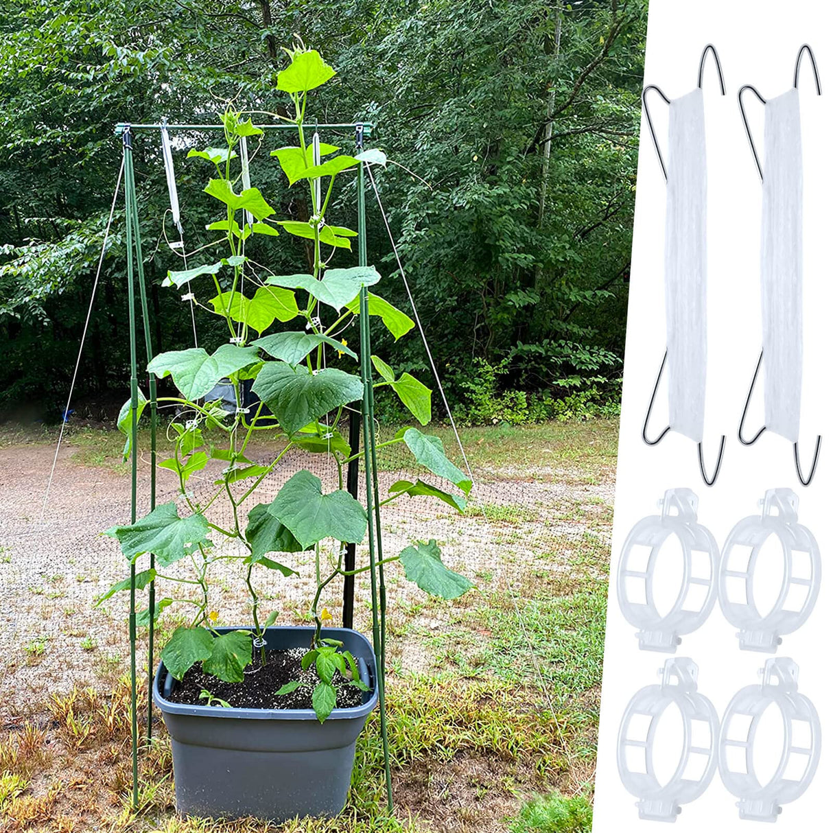 HFXXAD 60Pcs Tomato Hooks with String, Tomato Support Hooks, Tomato Holder Hooks & Plant Support Clips with 33.3ft Twine to Prevent Tomatoes from Pinching or Falling Off