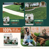 PetraMax Max Grass Paint for Lawn - Maintain Perfect Green Grass, Spray for Lawn & Shrubs Green Spray, Paint Pair with Petra Sprayers - Touch up Dog Spots - Non-Toxic Safe for Pets (Premium, 1 Gal)