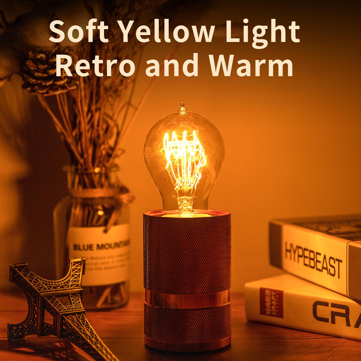 runquiz Warm Incandescent Light Bulbs 60 Watt,A19/A60 Vintage Style Edison Bulbs E26,Soft Yellow Light Bulbs,Amber Bulbs,Retro Light Bulb Old Fashioned,Halogen Dimmable Edison Bulb Squirrel Cage